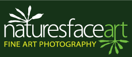 NATURESFACE ART
