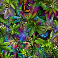 Passionflower ...limited edition 50
