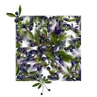 Blue Green ...limited edition 50
