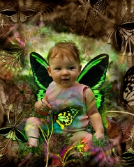 Birdwing Butterfly Fairy (classic)...surreal portrait