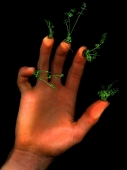 Green Fingers...limited edition 45