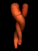 Orange Twist...limited edition 45