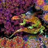 Cosmic Camelion...Limited Edition 120