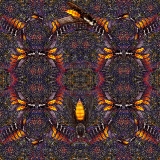 Flying Daze...Limited Edition 120