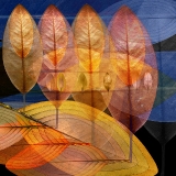 Natasha's Leaf...limited edition 120