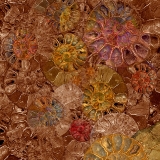Fossil...limited edition 120
