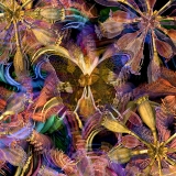 Butterfly Dawn...limited edition 120