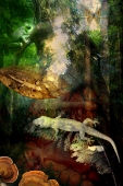 Gecko Delight...Open Edition 