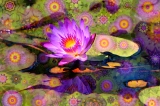 Botanical Dimensions...Open Edition 