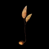 Note Beleaf...limited edition 45