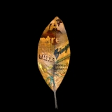 Word of Leaf 2...limited edition 45
