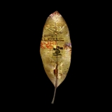 Word of Leaf 6...limited edition 45