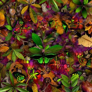 Birdwing, Limited Edition 120
