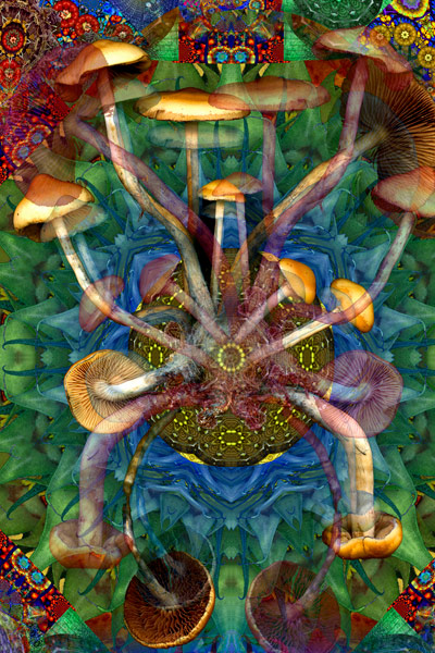 nf72. Psyharmonics Artcard nf72. Psyharmonics Artcard