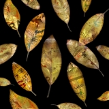 Urban Beleaf Collection 2006