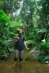 Walking up a rainforest creek near Kuranda collecting leaves.