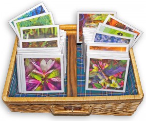 naturesface art fabric patches in basket naturesface art fabric patches in basket