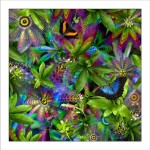 fp4. Passionflower Fabric Patch. 100% cotton fabric patches (organic) featuring unique nature designs by Australian artist Gerhard Hillmann. FREE POSTAGE WORLDWIDE! - Patchwork & Quilting..