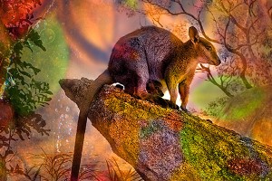 nf145b. Rock Wallaby's Artcard