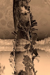 nf211. Dreamtree Artcard