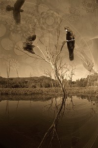 nf213c. Cockatoo Sky Artcard