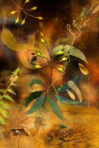nf232a. Mantis Walk Artcard