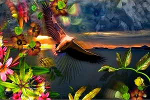 nf243c. Tropical Dawn Artcard