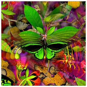 Lfp5a. Birdwing closeup 45x45cm fabric print