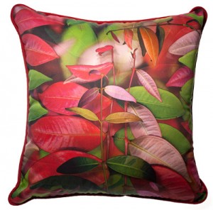 Lillypilly cushion 