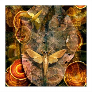 fp130. Forest Dance fabric patch