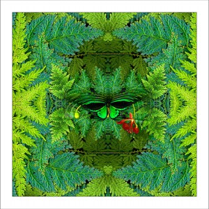 fp154. Ferndations fabric patch