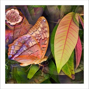 fp183. Flutterby Leaf fabric patch