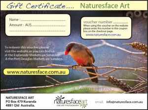 Sample gift certificate 1 