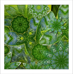 Leafy katydid mandala 1 fabric patch