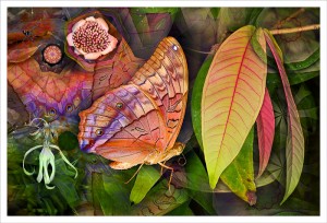 Flutterby Leaf fabric print