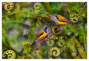 Sunbirds fabric print