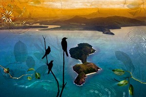 nf323b. Snapper Island artcard