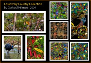 Cassowary country collection by gerhard hillmann