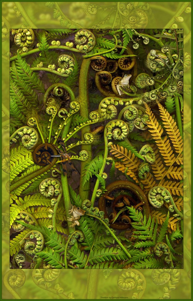 Treefern wall hanging