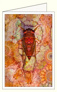 nf364_cicada_red_wo