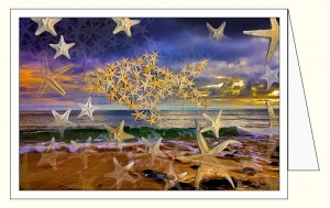 nf367_surfing_stars_wo